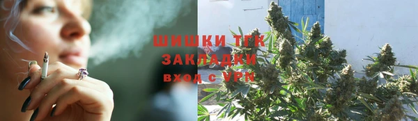 spice Богородицк