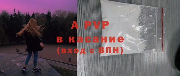 spice Богородицк
