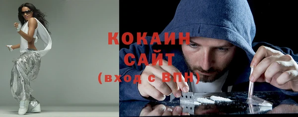 spice Богородицк