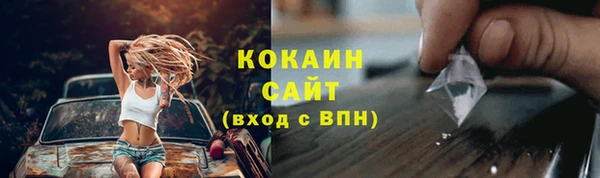 spice Богородицк