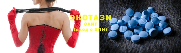 spice Богородицк