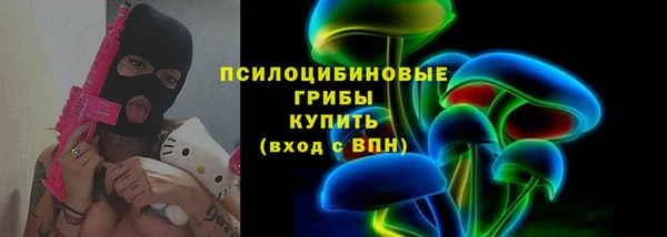 spice Богородицк