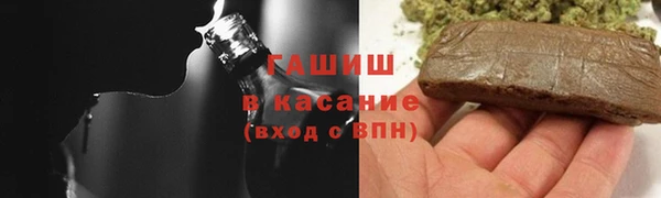 spice Богородицк