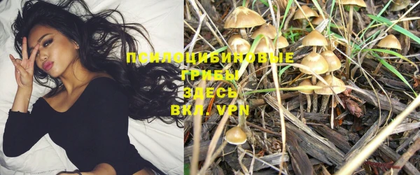 хмурый Богданович