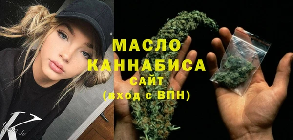 spice Богородицк